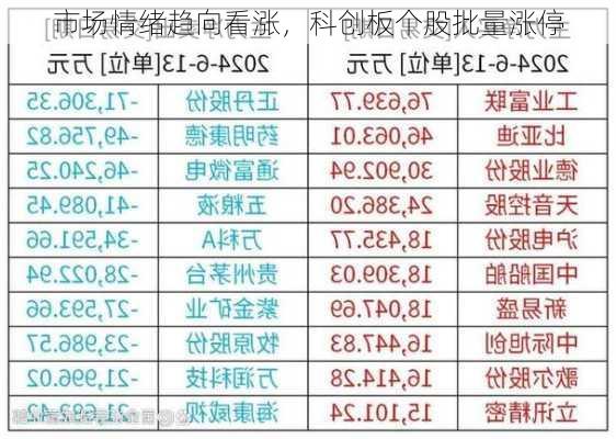 市场情绪趋向看涨，科创板个股批量涨停