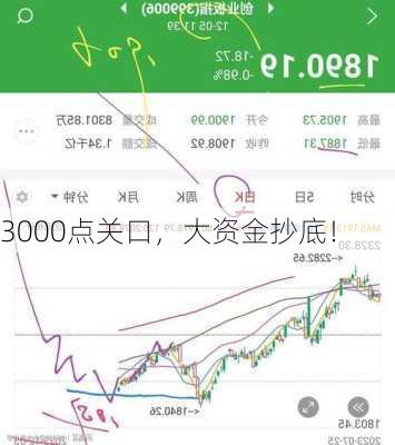 3000点关口，大资金抄底！