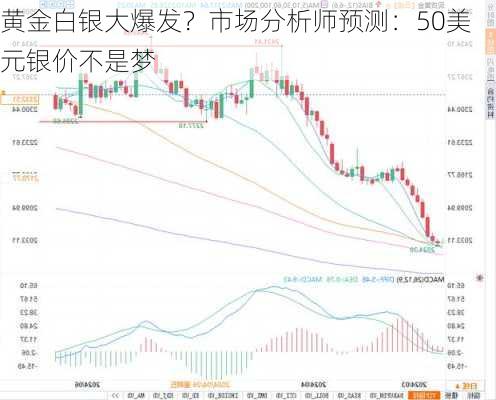 黄金白银大爆发？市场分析师预测：50美元银价不是梦