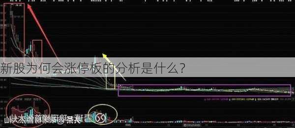 新股为何会涨停板的分析是什么？