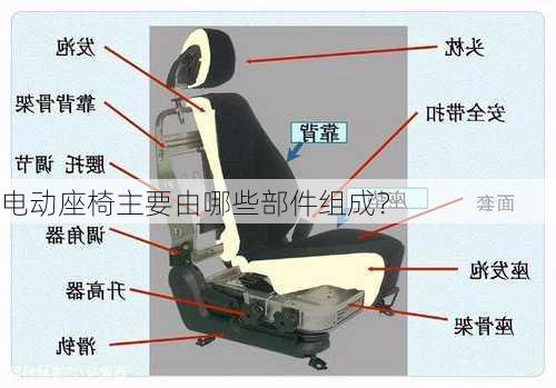 电动座椅主要由哪些部件组成？