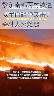 黎东南部两村镇遭以军白磷弹袭击：森林大火燃起