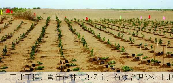 三北工程：累计造林 4.8 亿亩，有效治理沙化土地