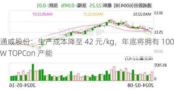 通威股份：生产成本降至 42 元/kg，年底将拥有 100GW TOPCon 产能