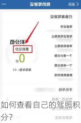 如何查看自己的驾照积分？