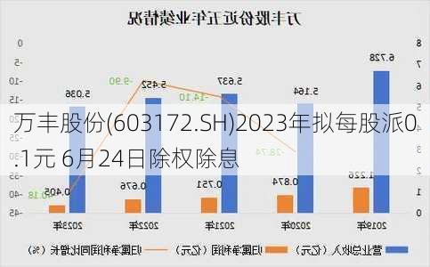 万丰股份(603172.SH)2023年拟每股派0.1元 6月24日除权除息