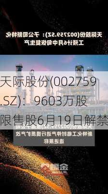 天际股份(002759.SZ)：9603万股限售股6月19日解禁