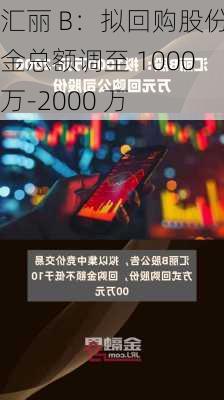 汇丽 B：拟回购股份资金总额调至 1000 万-2000 万