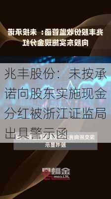 兆丰股份：未按承诺向股东实施现金分红被浙江证监局出具警示函