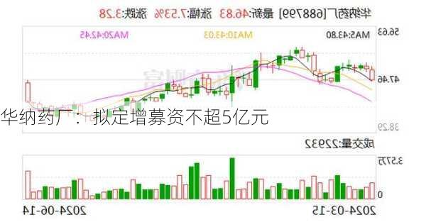 华纳药厂：拟定增募资不超5亿元