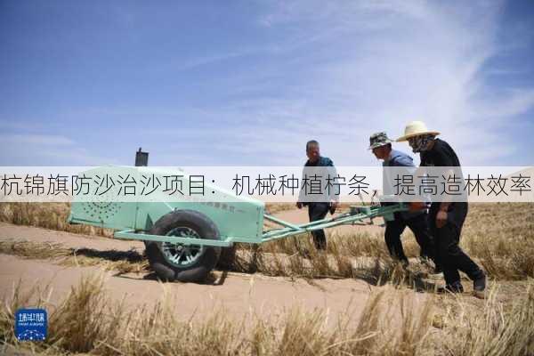 杭锦旗防沙治沙项目：机械种植柠条，提高造林效率