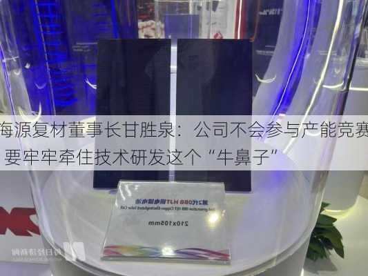 海源复材董事长甘胜泉：公司不会参与产能竞赛  要牢牢牵住技术研发这个“牛鼻子”