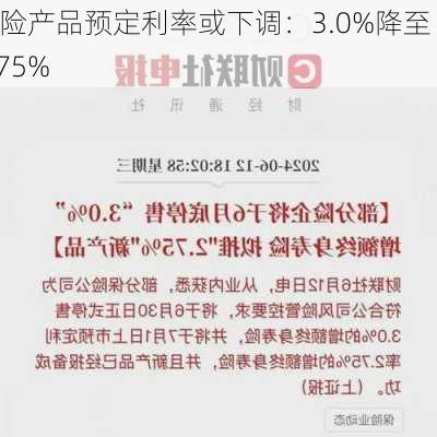 寿险产品预定利率或下调：3.0%降至 2.75%