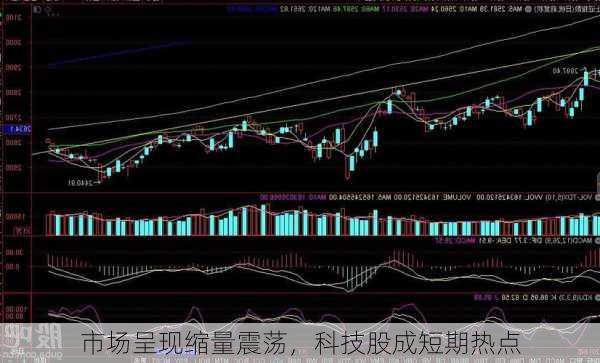 市场呈现缩量震荡，科技股成短期热点