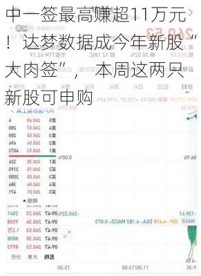 中一签最高赚超11万元！达梦数据成今年新股“大肉签”， 本周这两只新股可申购