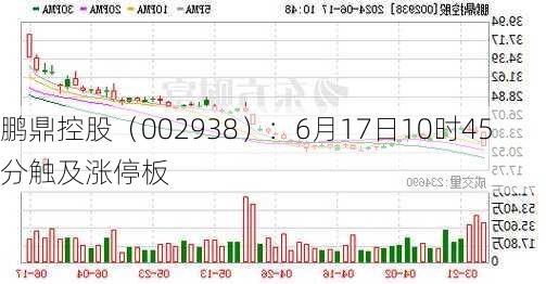 鹏鼎控股（002938）：6月17日10时45分触及涨停板