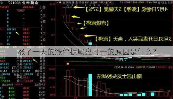 涨了一天的涨停板尾盘打开的原因是什么？