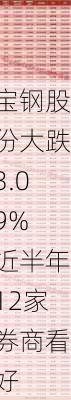 宝钢股份大跌3.09% 近半年12家券商看好