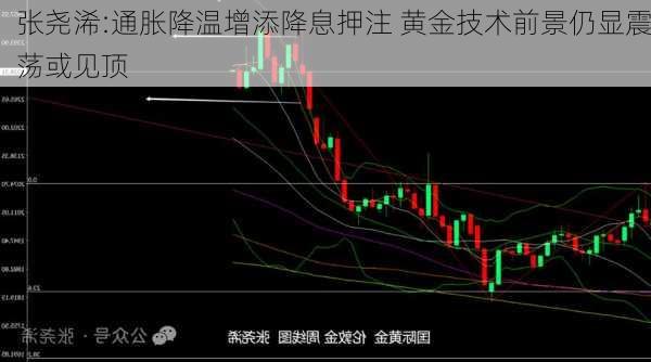 张尧浠:通胀降温增添降息押注 黄金技术前景仍显震荡或见顶