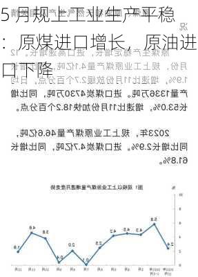 5 月规上工业生产平稳：原煤进口增长，原油进口下降