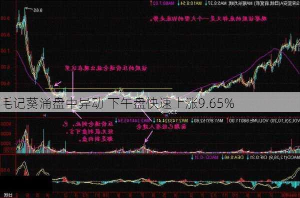 毛记葵涌盘中异动 下午盘快速上涨9.65%