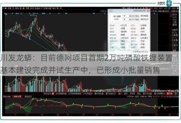 川发龙蟒：目前德阿项目首期2万吨磷酸铁锂装置基本建设完成并试生产中，已形成小批量销售