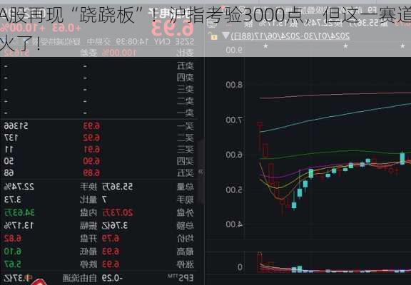 A股再现“跷跷板”！沪指考验3000点，但这一赛道火了！