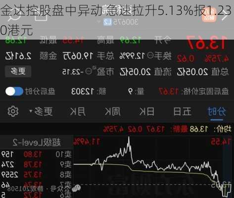 金达控股盘中异动 急速拉升5.13%报1.230港元