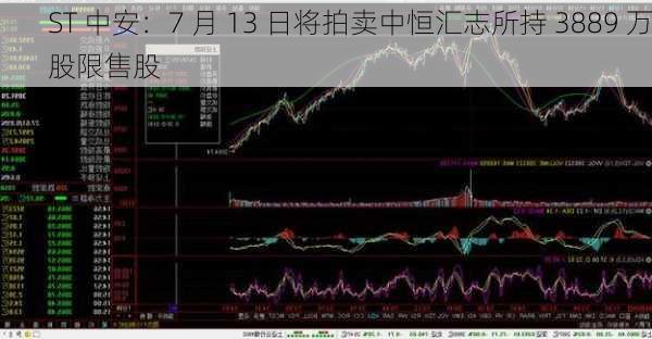 ST 中安：7 月 13 日将拍卖中恒汇志所持 3889 万股限售股