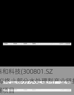 泰和科技(300801.SZ)拟终止部分水处理剂产业链扩展项目