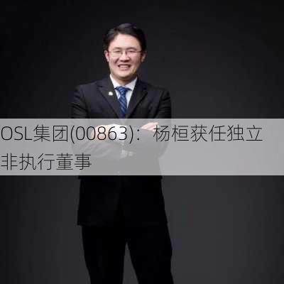 OSL集团(00863)：杨桓获任独立非执行董事