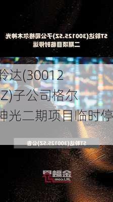 ST聆达(300125.SZ)子公司格尔木神光二期项目临时停运