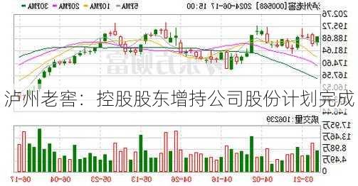 泸州老窖：控股股东增持公司股份计划完成