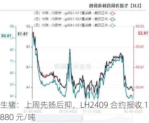 生猪：上周先扬后抑，LH2409 合约报收 17880 元/吨