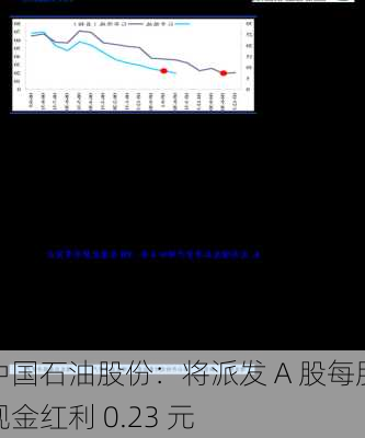 中国石油股份：将派发 A 股每股现金红利 0.23 元