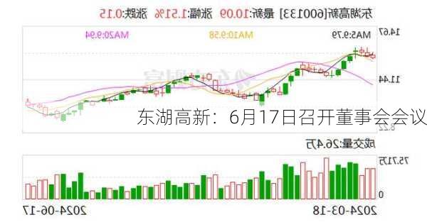 东湖高新：6月17日召开董事会会议