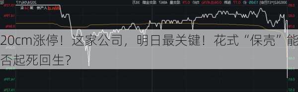 20cm涨停！这家公司，明日最关键！花式“保壳”能否起死回生？