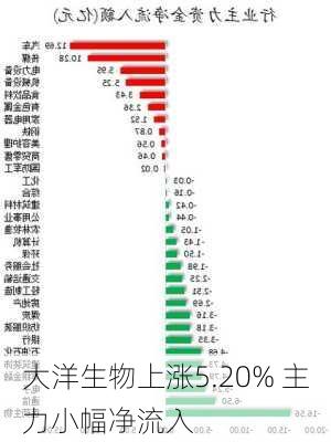 大洋生物上涨5.20% 主力小幅净流入