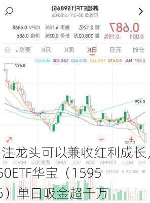 关注龙头可以兼收红利成长，A50ETF华宝（159596）单日吸金超千万