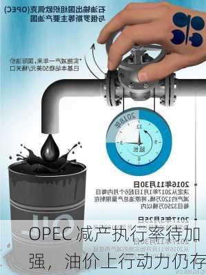 OPEC 减产执行率待加强，油价上行动力仍存