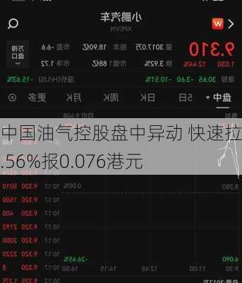 中国油气控股盘中异动 快速拉升5.56%报0.076港元