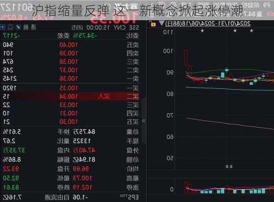 沪指缩量反弹 这一新概念掀起涨停潮