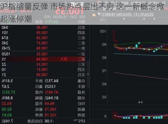 沪指缩量反弹 市场热点层出不穷 这一新概念掀起涨停潮