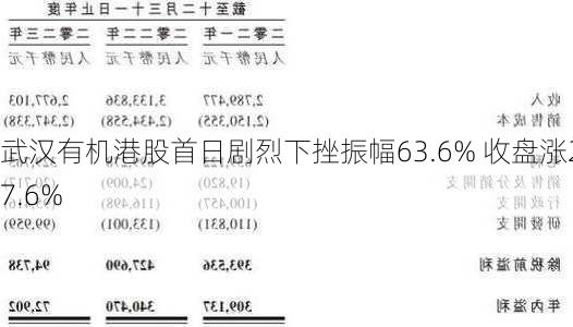 武汉有机港股首日剧烈下挫振幅63.6% 收盘涨27.6%