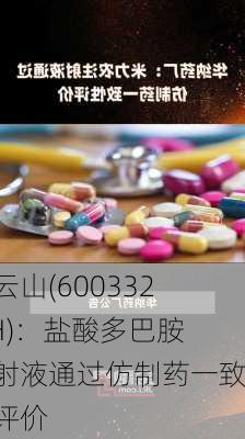 白云山(600332.SH)：盐酸多巴胺注射液通过仿制药一致性评价