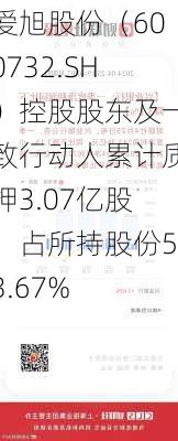 爱旭股份（600732.SH）控股股东及一致行动人累计质押3.07亿股，占所持股份53.67%