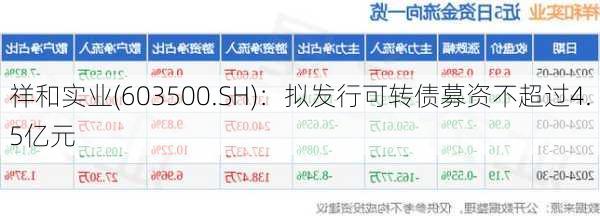 祥和实业(603500.SH)：拟发行可转债募资不超过4.5亿元