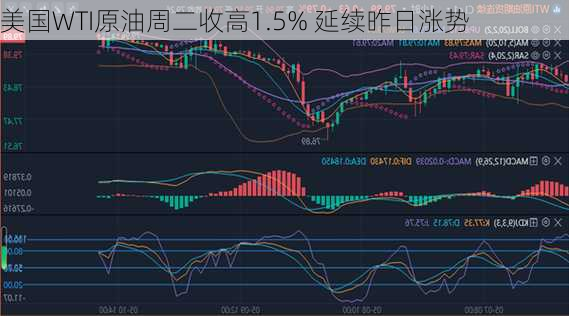 美国WTI原油周二收高1.5% 延续昨日涨势