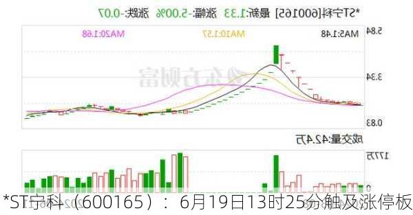 *ST宁科（600165）：6月19日13时25分触及涨停板