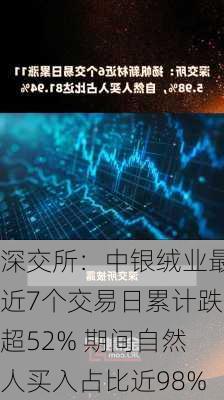 深交所：中银绒业最近7个交易日累计跌超52% 期间自然人买入占比近98%